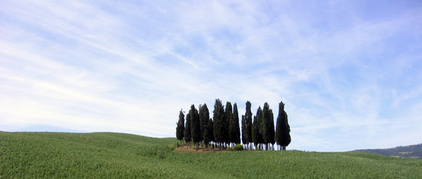 La Toscane en ligne