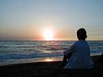 mare